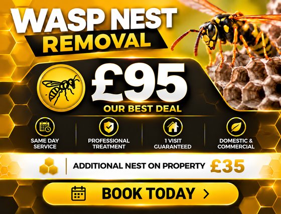 Wasp nest removal £95, our best deal, same day service, professional treatment, 1 visit guaranteed, domestic and commercial, additional nest on property £35