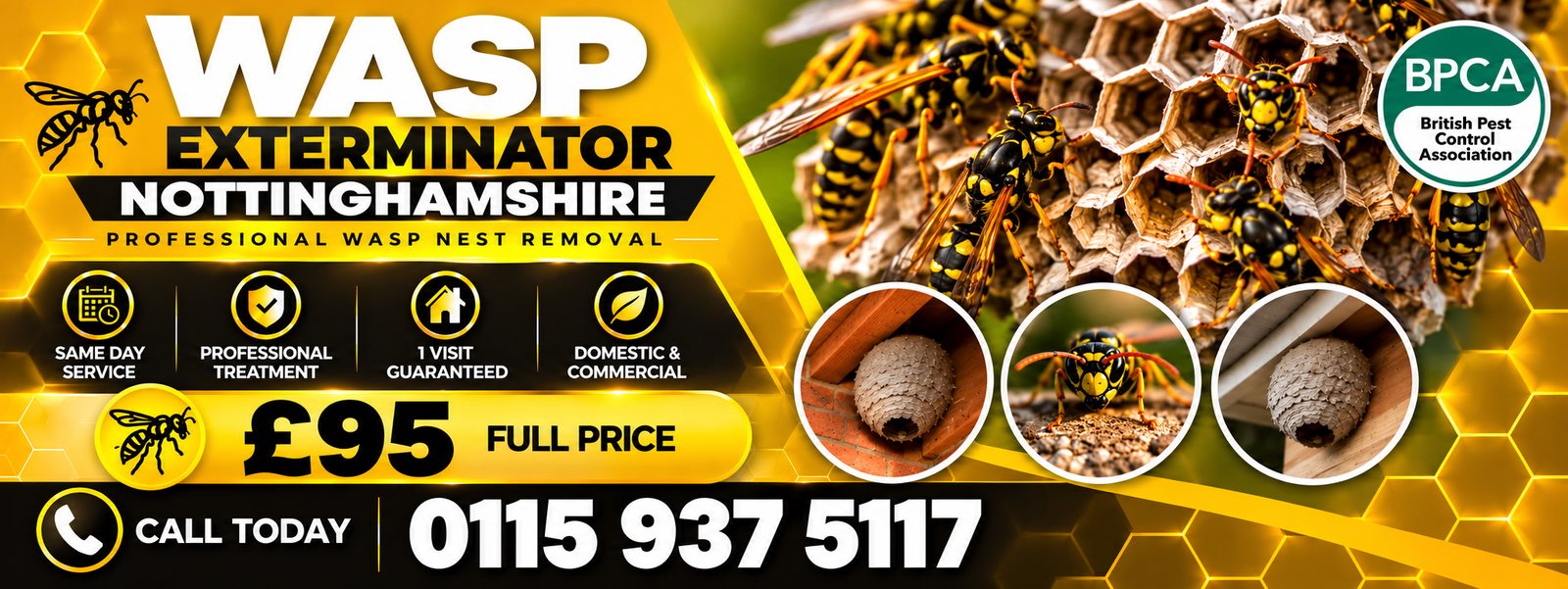 Wasp Exterminator Nottinghamshire, professional wasp nest removal, same day service, £95 full price, call 0115 937 5117