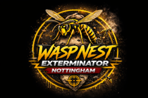 wasp nest removal nottingham